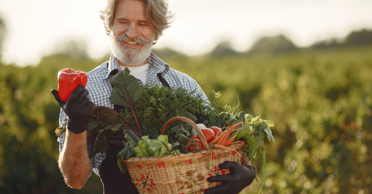 Smiling elderly farmer holding a basket of fresh vegetables in a lush green field.